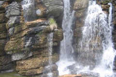 IMG_0682