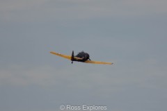 IMG_3897