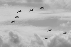 IMG_4051