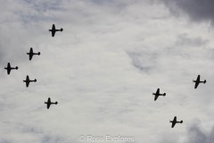 IMG_4055