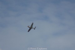 IMG_4081