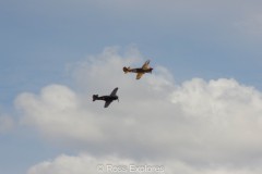 IMG_4141
