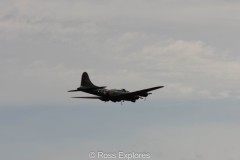 IMG_4195