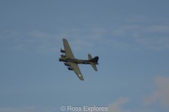 IMG_4203