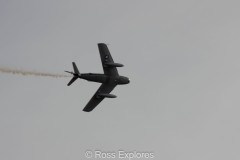 IMG_4369