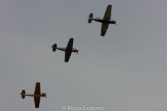 IMG_4402