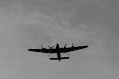 IMG_4417