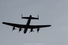IMG_4422