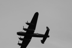 IMG_4444