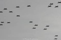 IMG_4474