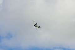 IMG_4477
