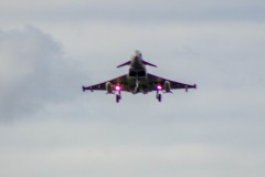 IMG_4500