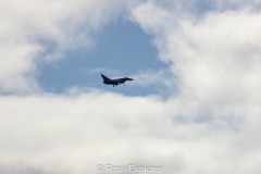 IMG_4510