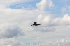 IMG_4526