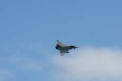 IMG_4541
