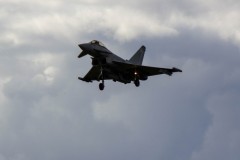 IMG_4561