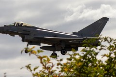 IMG_4565