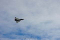 IMG_4577