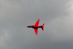 IMG_3730